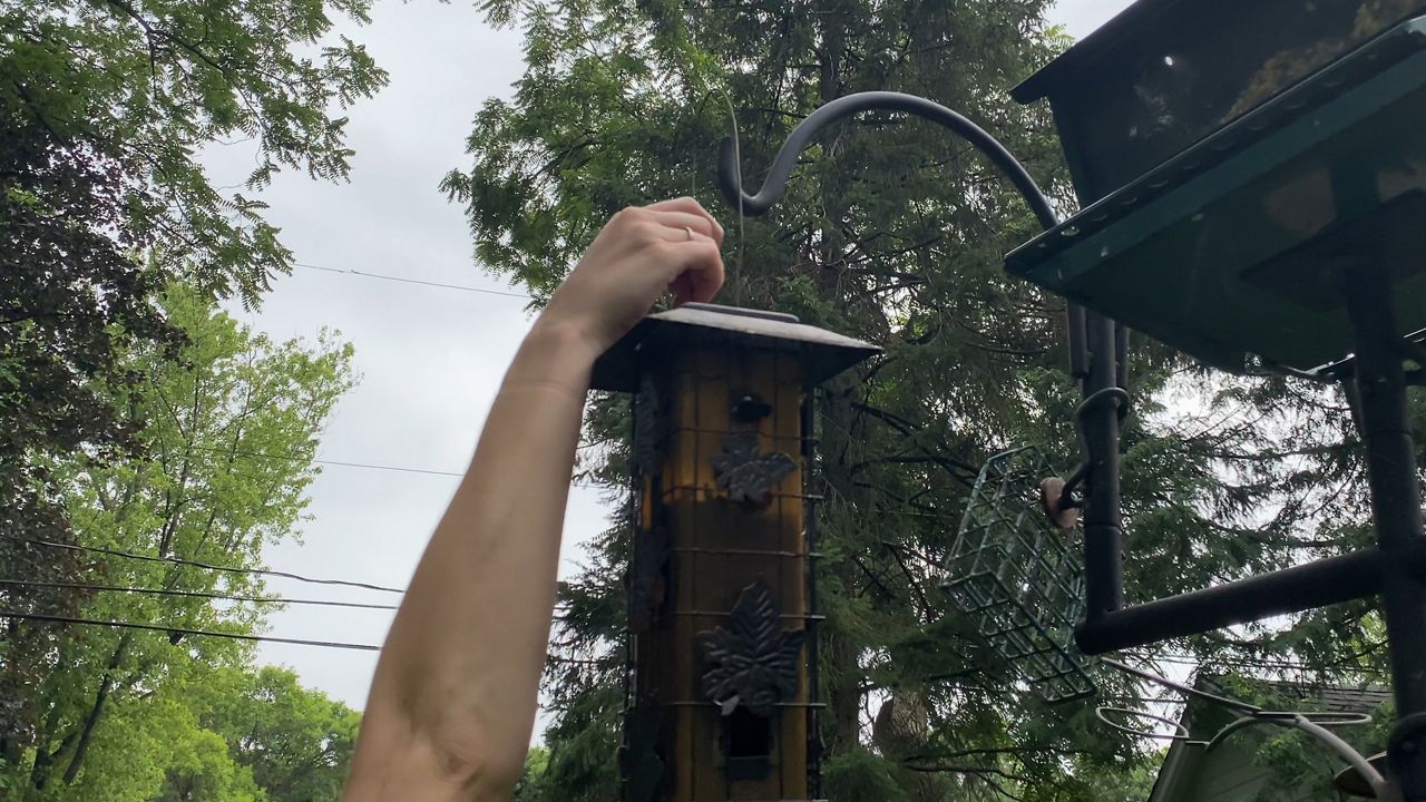 Hand removing bird feeder from stand